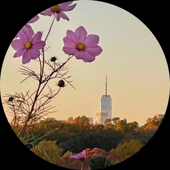 maisonyayanyc